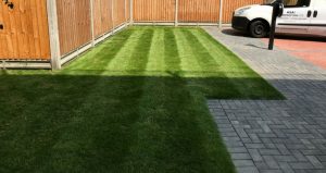 Lawn mowing North London